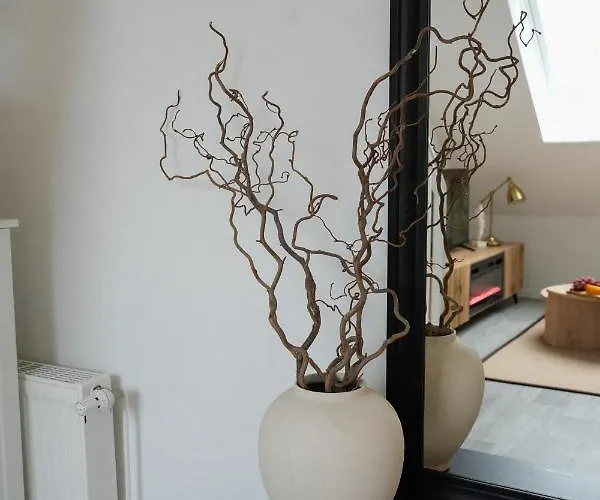 Designer An Der Leineinsel In Hannover, Direkt Am Wasser In Ruhiger Laage, Messeapartment Apartment Hannover