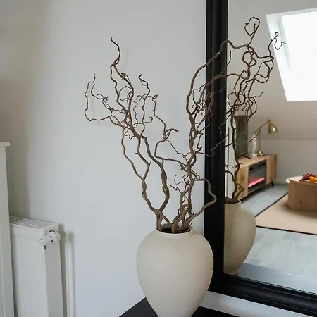 Designer An Der Leineinsel In Hannover, Direkt Am Wasser In Ruhiger Laage, Messeapartment Lägenhet Hannover